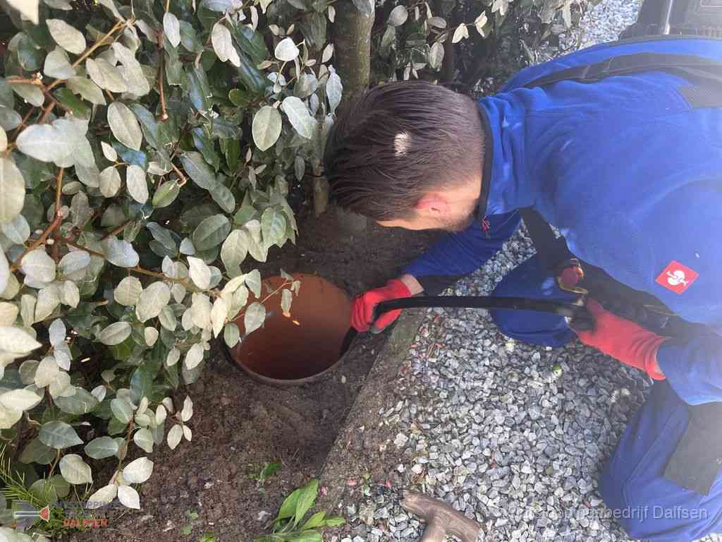 Rioolvliegjes Dalfsen Rioolvliegjes Dalfsen